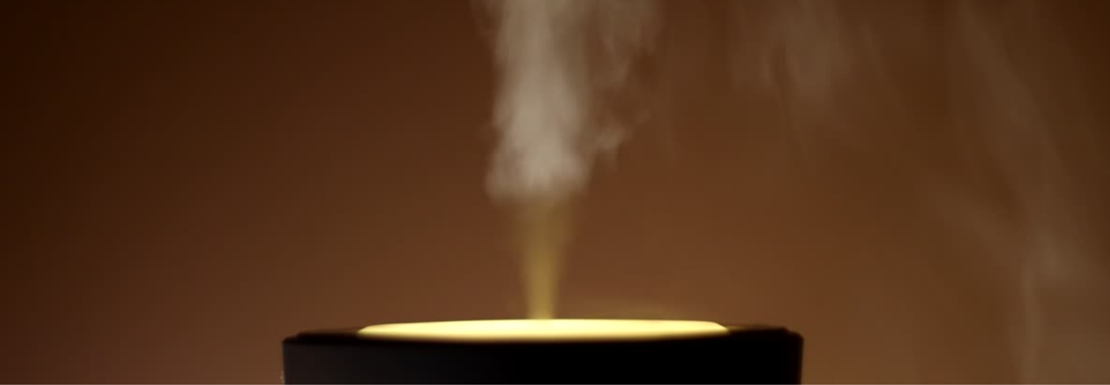 Santal Maison diffuser sets for home. Spa scents for home scenting. Essential oil blends for moods. 